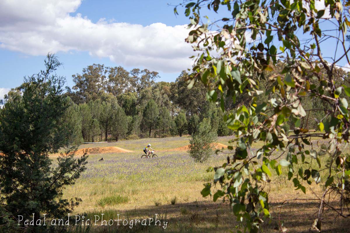2026 NSW XCC and XCO State Championships